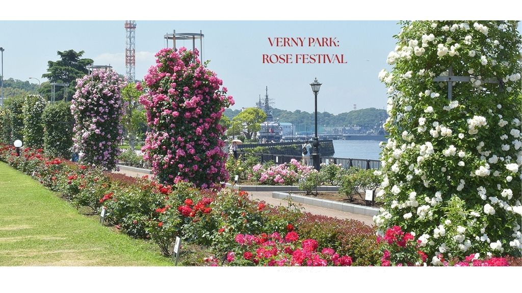 Yokosuka Verny Park: Rose Festival Tour 